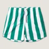 Classic Retro Stripe - Peacock/White
